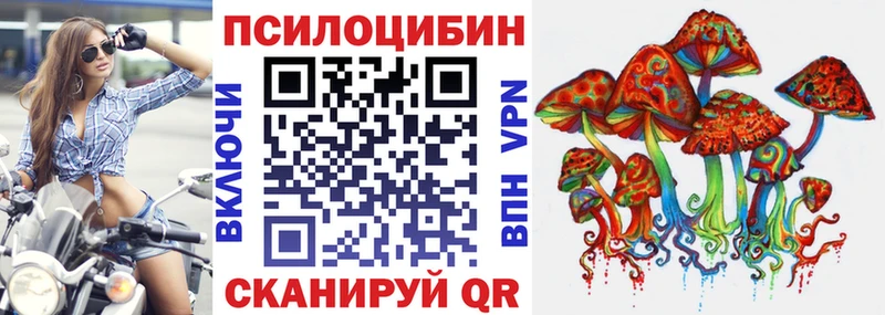 Галлюциногенные грибы Psilocybine cubensis  Сухиничи 
